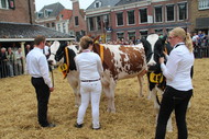 Klik hier om terug te keren