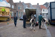 Klik hier om terug te keren