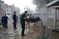 Klik hier om terug te keren