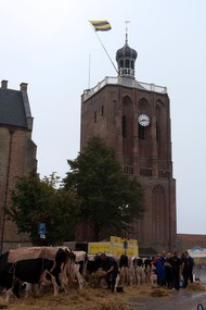 Klik hier om terug te keren