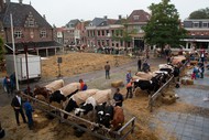 Klik hier om terug te keren