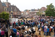 Klik hier om terug te keren