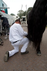 Klik hier om terug te keren