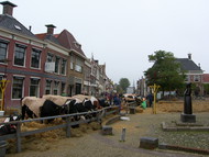 Klik hier om terug te keren