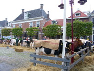Klik hier om terug te keren