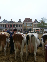 Klik hier om terug te keren