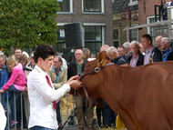 Klik hier om terug te keren