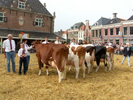 Klik hier om terug te keren
