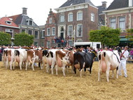 Klik hier om terug te keren