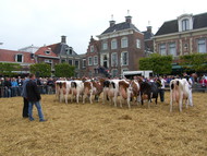 Klik hier om terug te keren