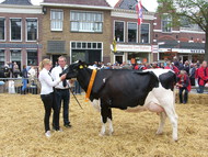 Klik hier om terug te keren