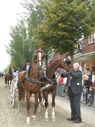 Klik hier om terug te keren