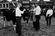 Klik hier om terug te keren