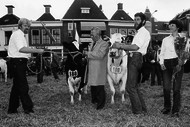 Klik hier om terug te keren