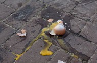 Klik hier om terug te keren