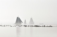 Klik hier om terug te keren