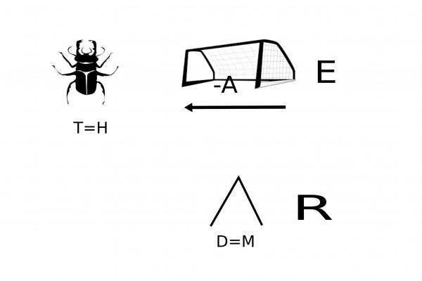 http://www.workum.nl/images/upload/workum10/6320.jpg