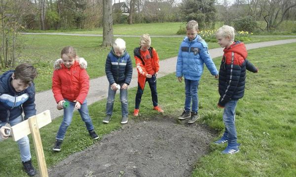 http://www.workum.nl/images/upload/workum10/7833.jpg
