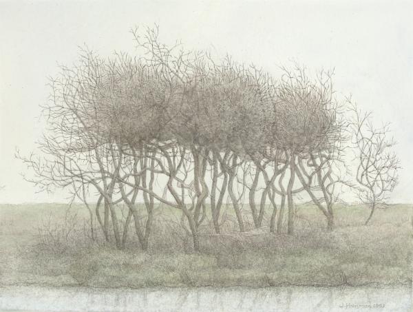 https://www.workum.nl/images/upload/workum10/8538.jpg